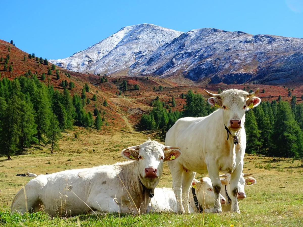 Апартаменты Alpenfrieden - Наудерс Экстерьер фото